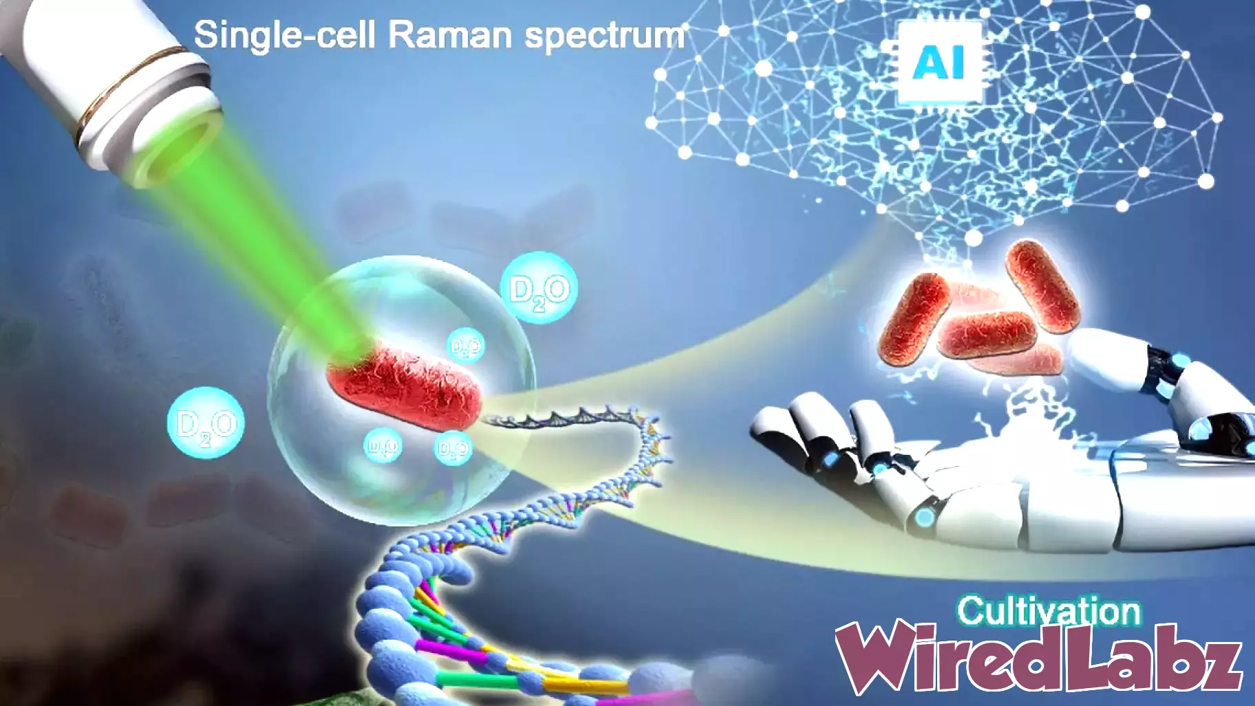 Breakthrough AI System Uncovers Aluminum-Tolerant Microorganisms