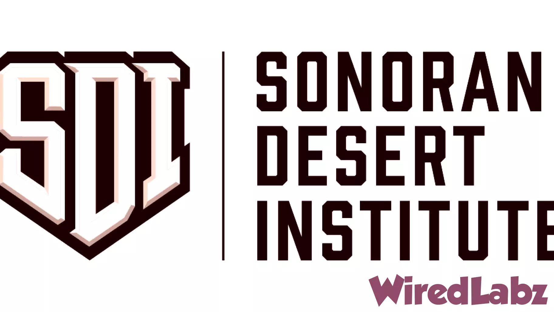 Sonoran Desert Institute Introduces Online Associate of Science in Uncrewed Technology